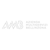 AMB AMB